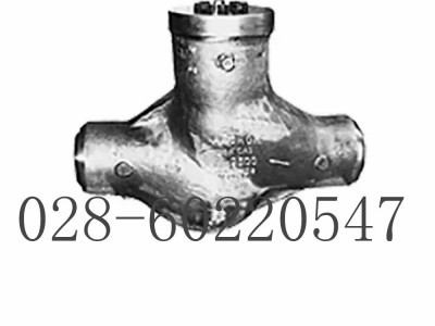 美国福斯Anchor/Darling活塞式（升降）止回阀图4