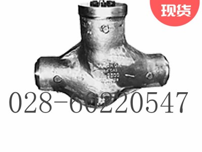 美国福斯Anchor/Darling活塞式（升降）止回阀图2