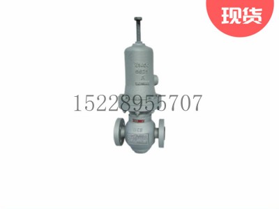 173系列直动式背压调节阀梅索尼兰阀门图3