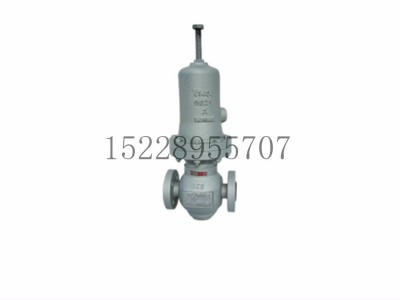 173系列直动式背压调节阀梅索尼兰阀门图4