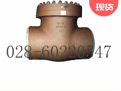 美国福斯Anchor/Darling摆动止回阀图5