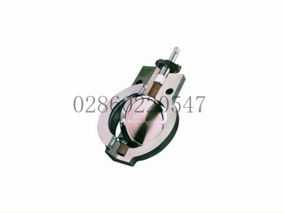 美国Flowserve福斯BigMax高性能蝶阀图4