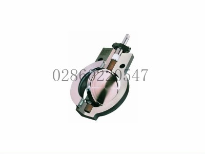 美国Flowserve福斯BigMax高性能蝶阀图5