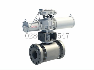 美国Flowserve福斯工业全通径固定式球阀TMCBV图2