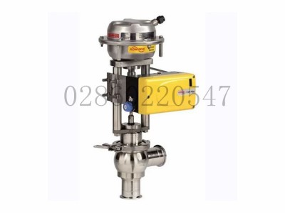 Flowserve福斯CleanFlow直行程控制阀波纹管型图5