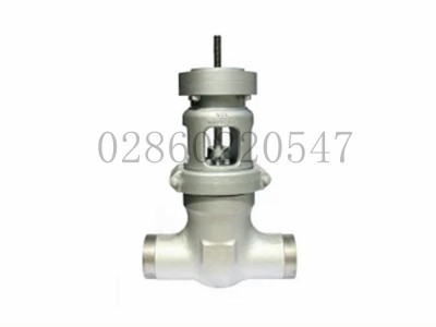 Flowserve福斯Equiwedge挠性拼合楔形闸阀图5