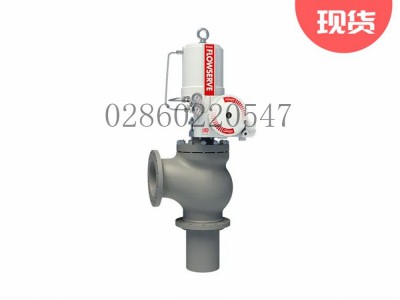 Flowserve福斯耐腐蚀控制阀Survivor图3