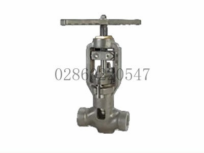 Flowserve福斯T型单件式薄型截止阀1878图2