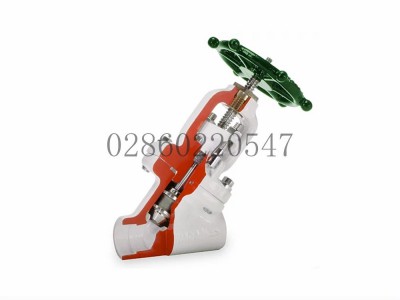 Flowserve福斯Y型小口径截止阀栓接阀盖图4