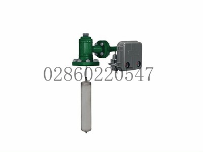 249系列内浮筒传感器费希尔艾默生图5