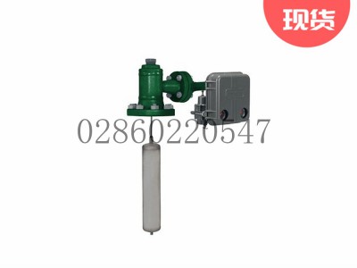 249系列内浮筒传感器费希尔艾默生图3