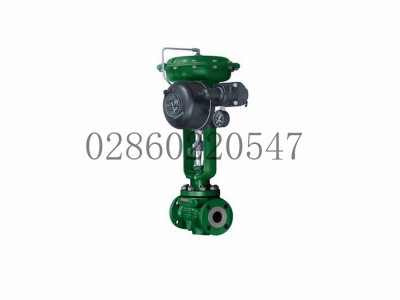 546系列电气转换器费希尔艾默生图5