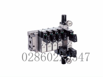 诺冠Norgren先导式电磁阀V44A523D-C313A图2