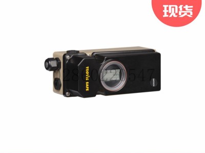 德国萨姆森SAMSON TROVIS SAFE 3793阀门定位器图3