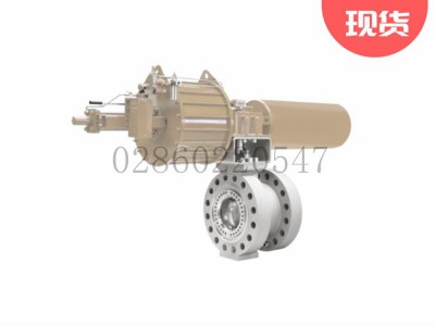 samson萨姆森LTR 43气动ANSI气动调节阀图3