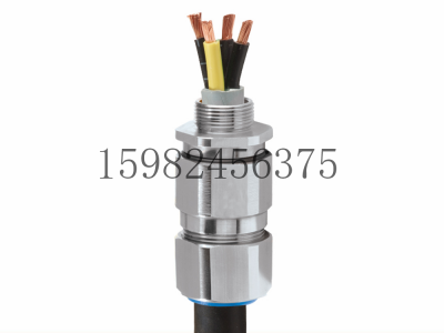 CMP格兰头CW单线钢/铝铠装工业电缆密封接头图2