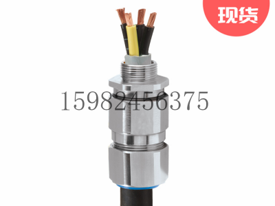 CMP格兰头CX单线编织/钢带铠装工业电缆密封接头图3