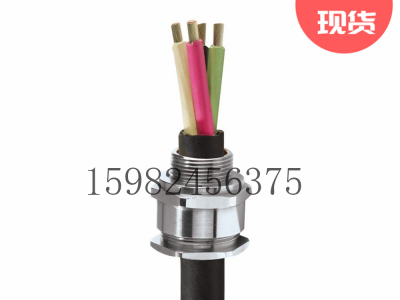 CMP格兰头A2F100铠装电缆密封接头图3