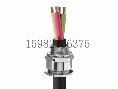 CMP格兰头A2F100铠装电缆密封接头图2