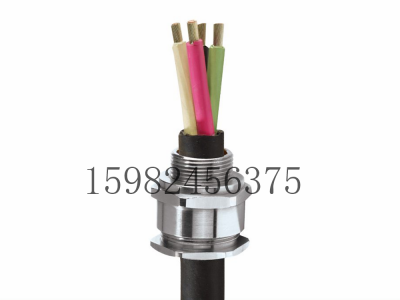 CMP格兰头A2F100铠装电缆密封接头图5