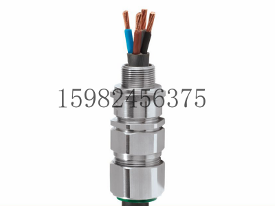 CMP格兰头E1FU铠装防爆电缆密封接头图2