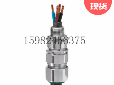 CMP格兰头E1FU铠装防爆电缆密封接头图3