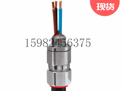 CMP格兰头PX2K胶泥式防爆电缆密封接头图3