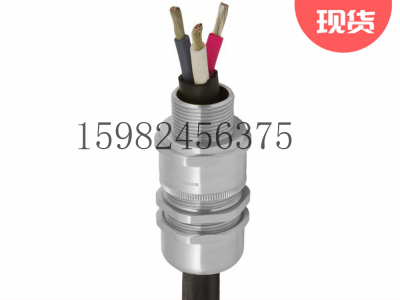 CMP格兰头SS2K非铠装/编织铠装防爆电缆密封接头图3