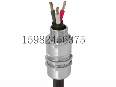 CMP格兰头SS2K非铠装/编织铠装防爆电缆密封接头图4