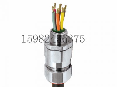 CMP格兰头PX2KREX胶泥式防爆电缆密封接头图4