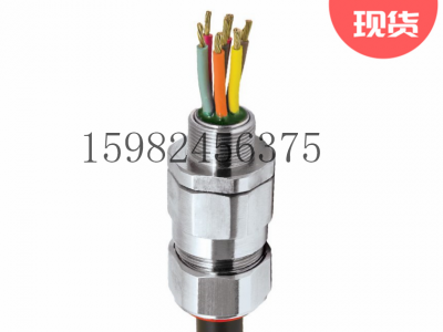 CMP格兰头PX2KWREX单线钢/铝铠装胶泥电缆密封接头图3