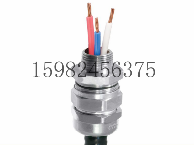 CMP格兰头TMC系列铠装电缆密封接头图2