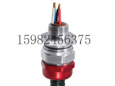 CMP格兰头TMCX系列铠装胶泥电缆密封接头图5