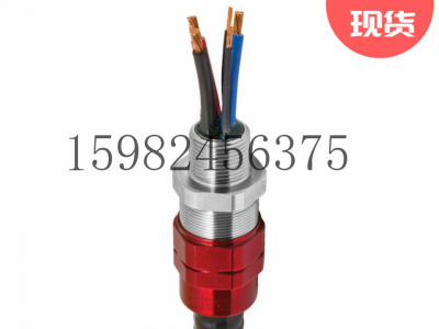 CMP格兰头TMC2X系列胶泥电缆密封接头图3