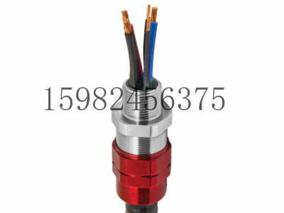 CMP格兰头TMC2X系列胶泥电缆密封接头图4