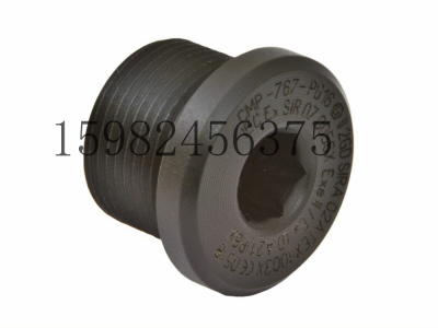 CMP格兰头767圆形堵头图5