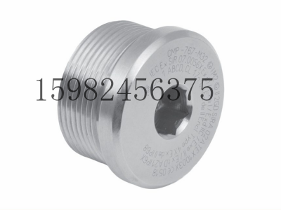 CMP格兰头767圆形堵头图2