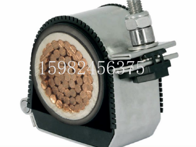 CMP格兰头Sapphire重型不锈钢铰链电缆夹图2