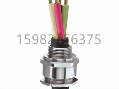 英国CMP格兰头20S16A2非铠装/编织铠装单密封M20图2