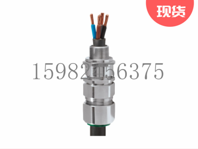 英国CMP格兰头115E1FX编织/钢带铠装防爆电缆密封接头图3