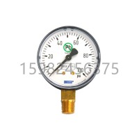 WIKA威卡111.10DW型Bourdon Tube压力表