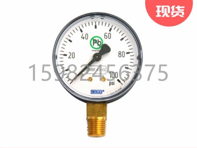WIKA威卡111.10DW型Bourdon Tube压力表图3