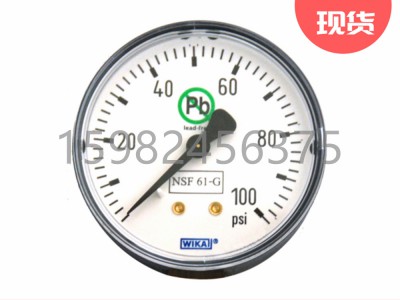 WIKA威卡111.12DW型Bourdon Tube压力表图3