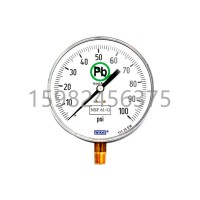 WIKA威卡111.25DW型Bourdon Tube压力表