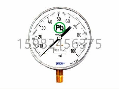 WIKA威卡111.25DW型Bourdon Tube压力表图2