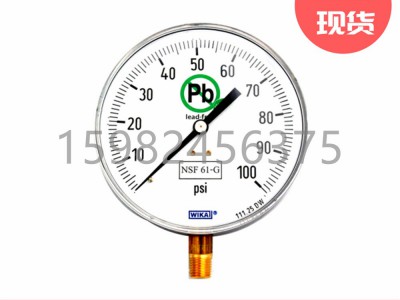WIKA威卡111.25DW型Bourdon Tube压力表图3