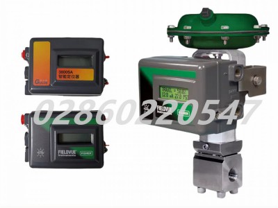 Fisher费希尔DVC2000 3800SA阀门定位器图2
