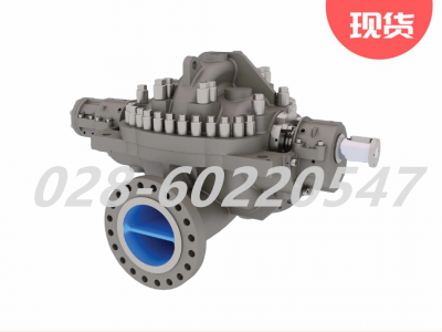 Flowserve福斯DVSH-RO双支撑式泵高压隔膜进料泵图3