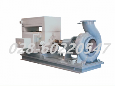 Flowserve福斯FRBH系列工业用途流程泵离心泵图4