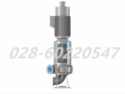 Flowserve福斯MF和MFV悬臂式固体处理泵图2